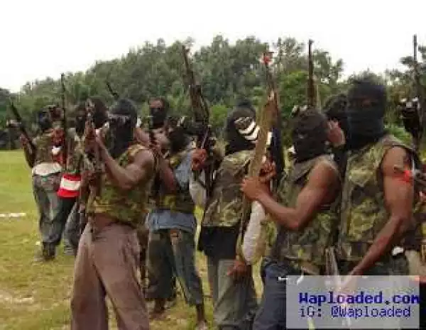 Niger Delta Avengers Debunks Rumour Of Meeting With FG